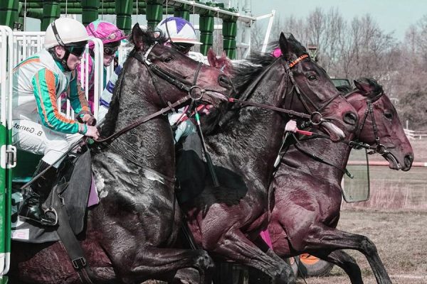 Les avantages des paris à long terme sur les courses de chevaux